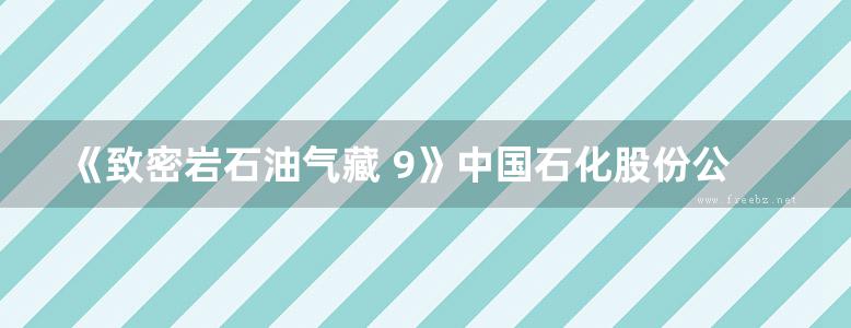 《致密岩石油气藏 9》中国石化股份公司西南油气分公司、中国石化集团公司西南石油局